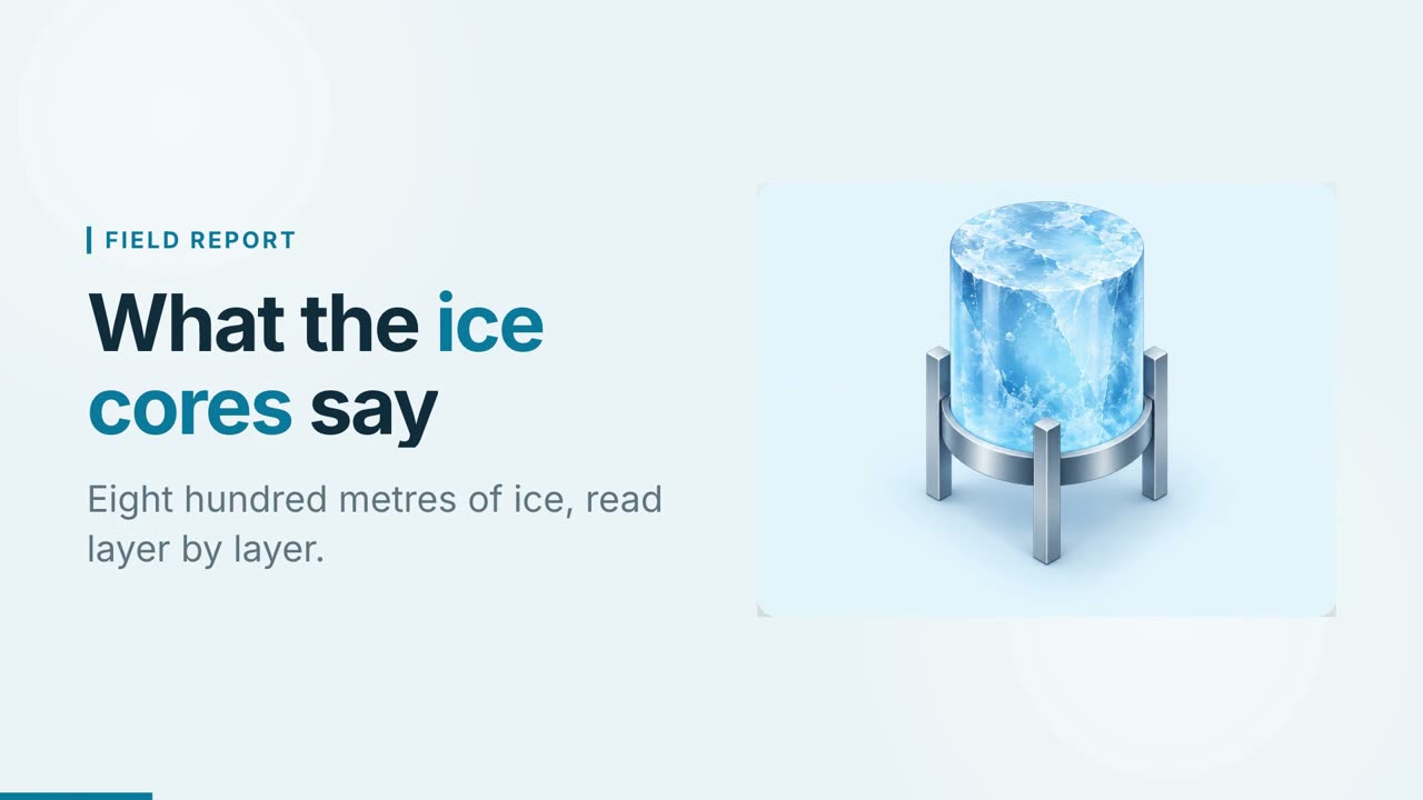 Arctic 範例影片的畫面
