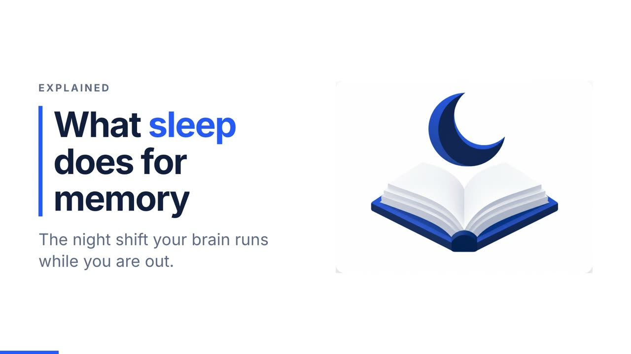 範例影片畫面：為什麼睡眠很重要